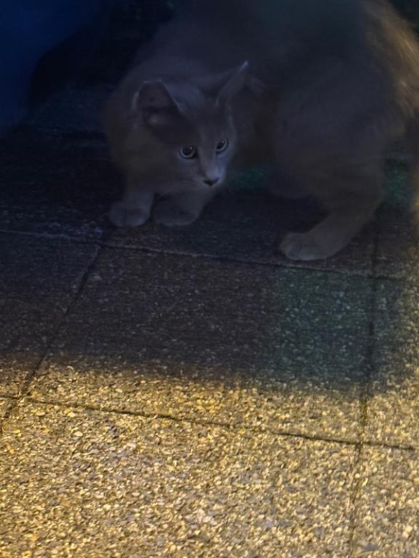 ♡るみ♡本指名120分のお兄さん