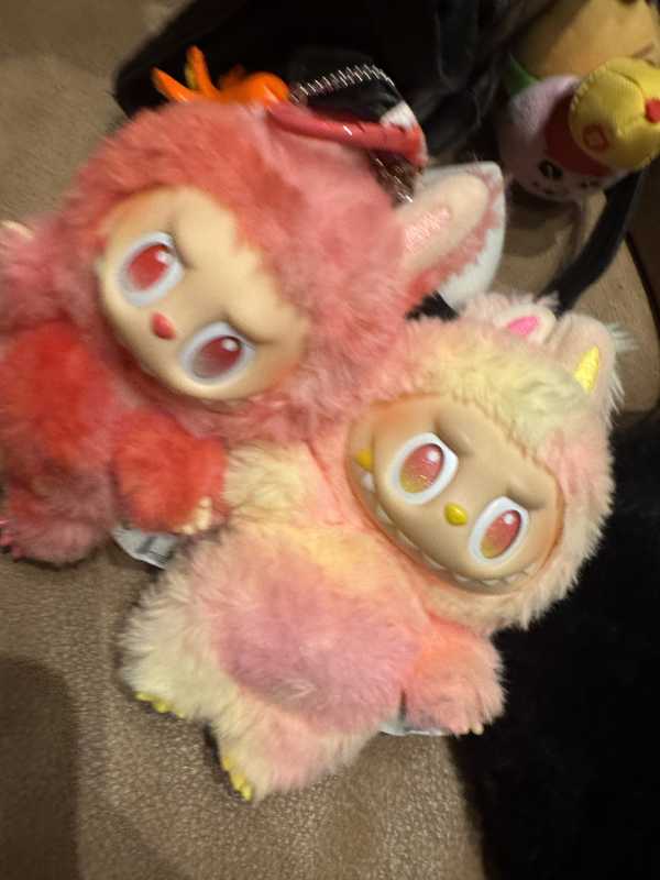 club菜の花 さな