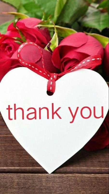 しの【ロイヤルOP対応】ありがとうございました