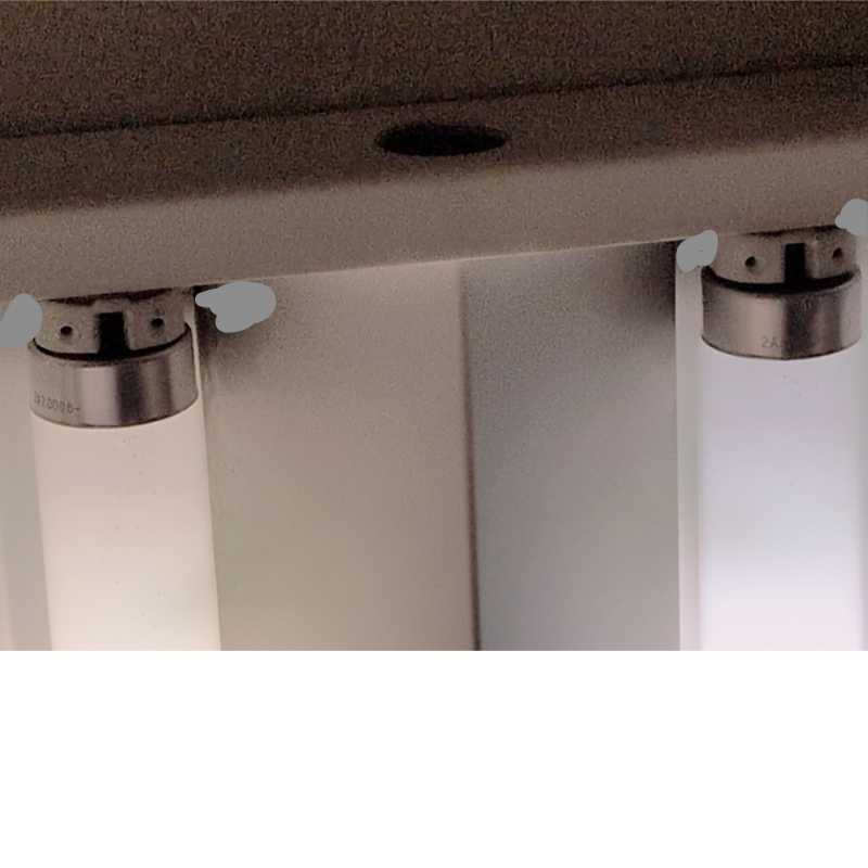 洗体メンズエステ　エリザベス 秀川 雅 🐨🐨🐨