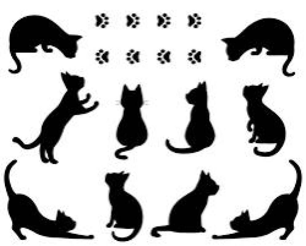 愛ドル学園　☆制服着たまま部☆ まお☆極上ふわふわおっぱい 急遽少しだけ????