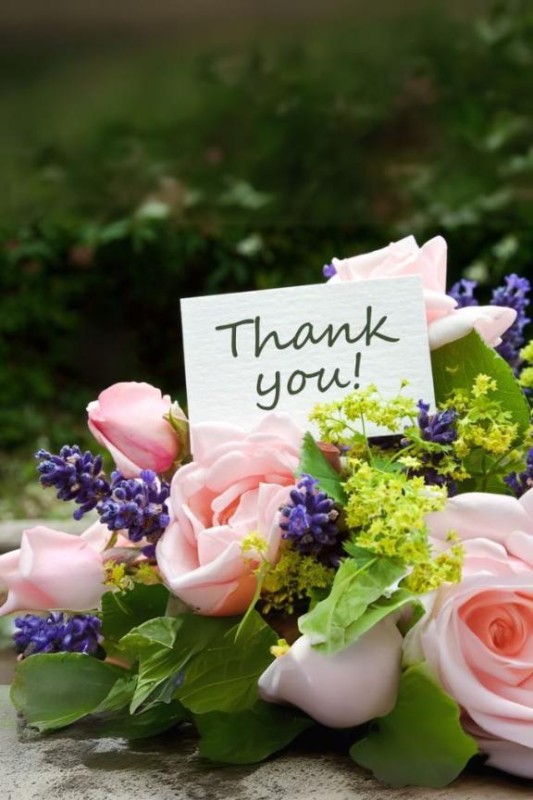 しの【ロイヤルOP対応】ありがとうございました