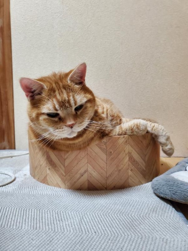 圭（けい）☆最高級のおもてなしうぉぉぉぉ～