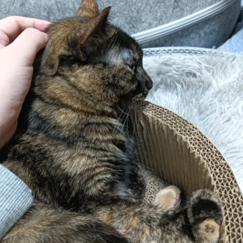 赤と黒 巴♡まみ 避けられた…