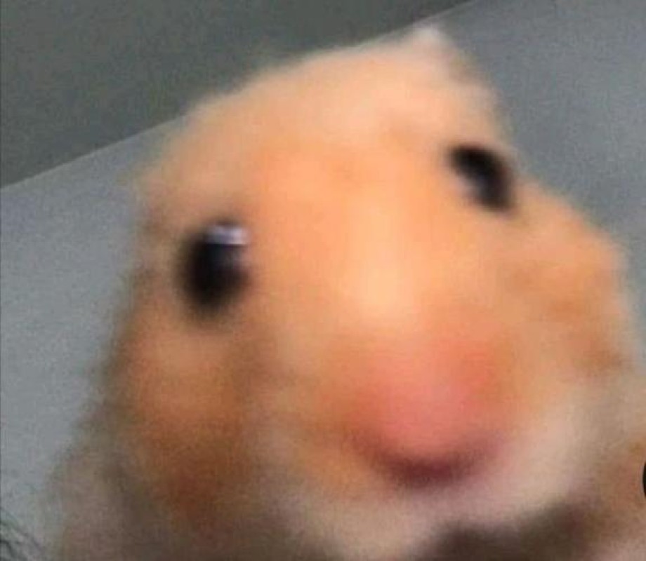 青葉　ことぶき☆あのちゃん激似！リフレッシュ?