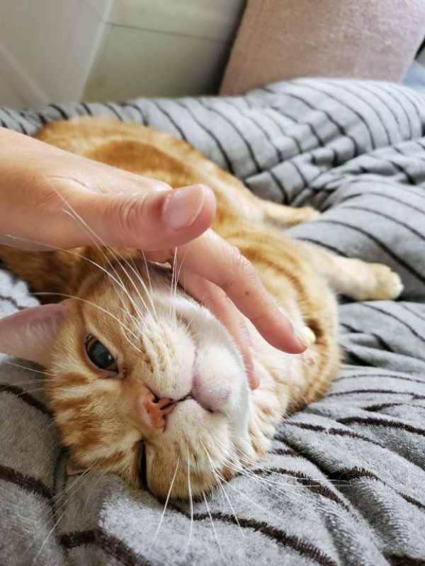 圭（けい）☆最高級のおもてなしぐっもーにん?