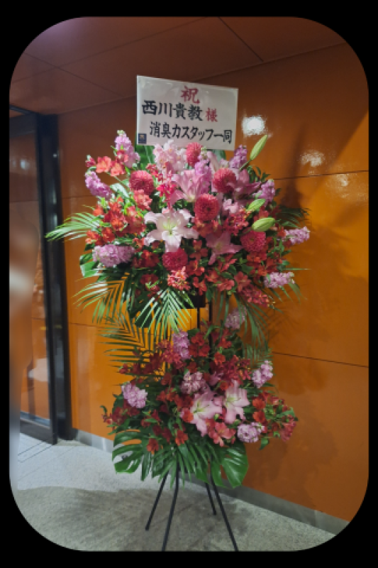 ジャックと豆の木 嵐　つかさ☆マットの本格派 ??