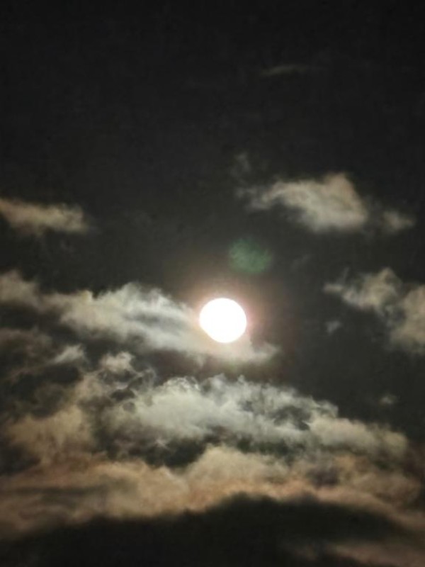 みれいこんばんは