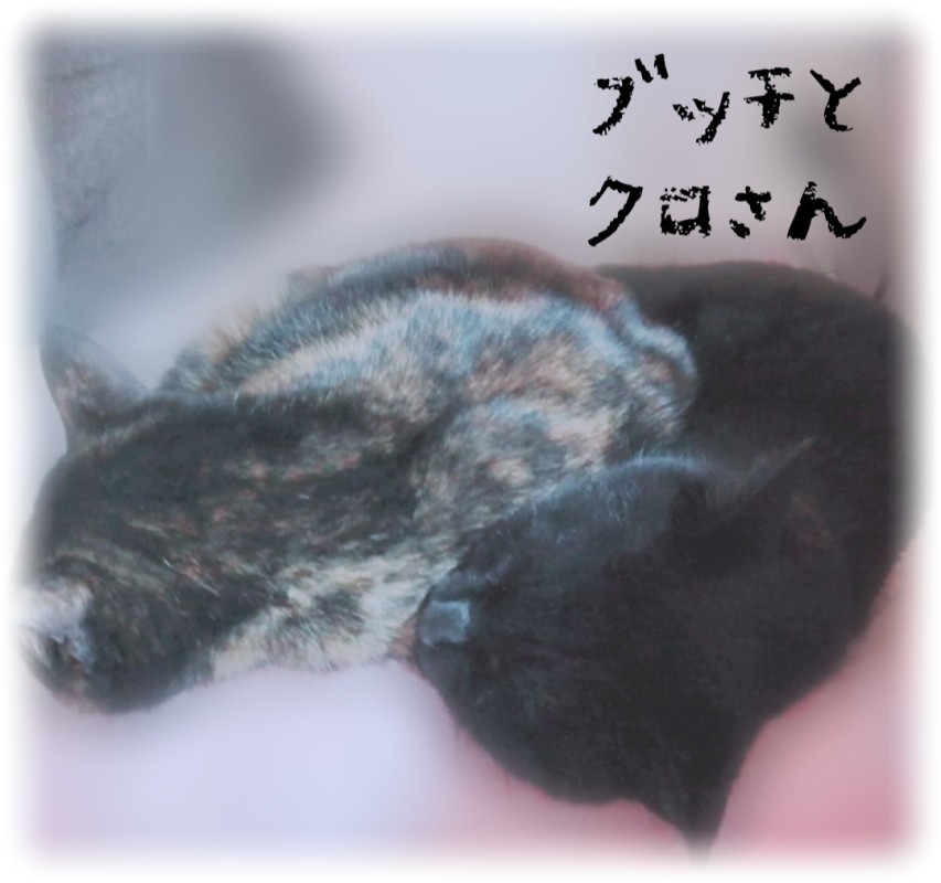 一ノ瀬　なな出勤しております🌱