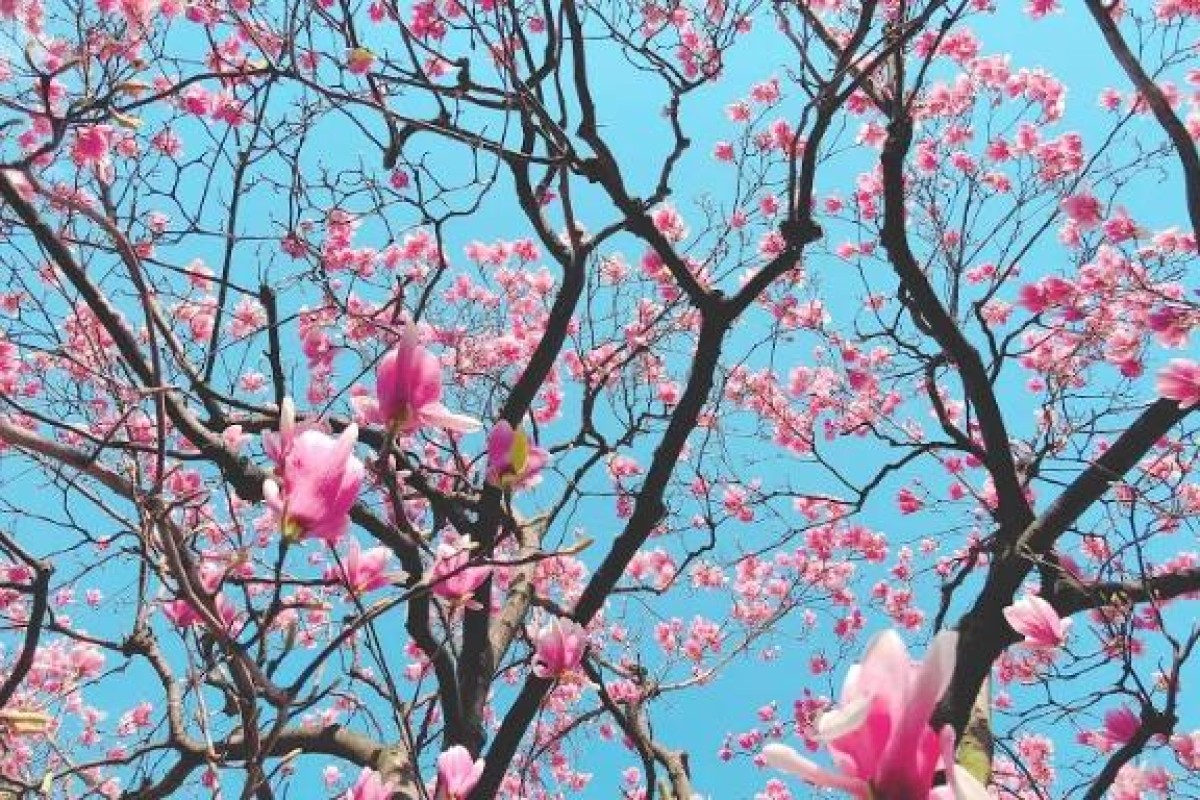 高松しらゆき姫 あいな ぽかぽか??