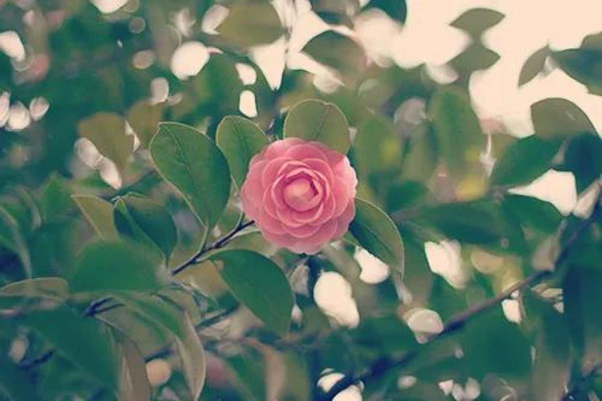 あいな運動??♀?