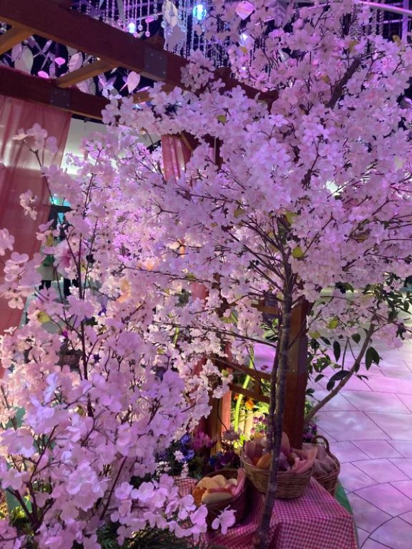 英乃國屋 つゆ [お題]from:宴会部長さん