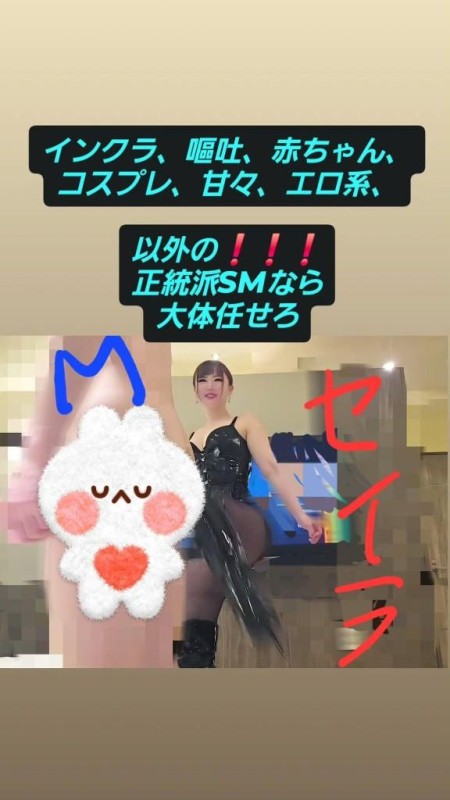 セイラ～SM～SMは解剖学、人体を学ばないと出来ないので