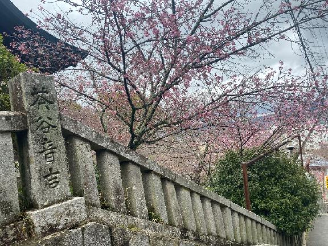 れお♡誰もが振り返る最高彼女時代はヒノキ?