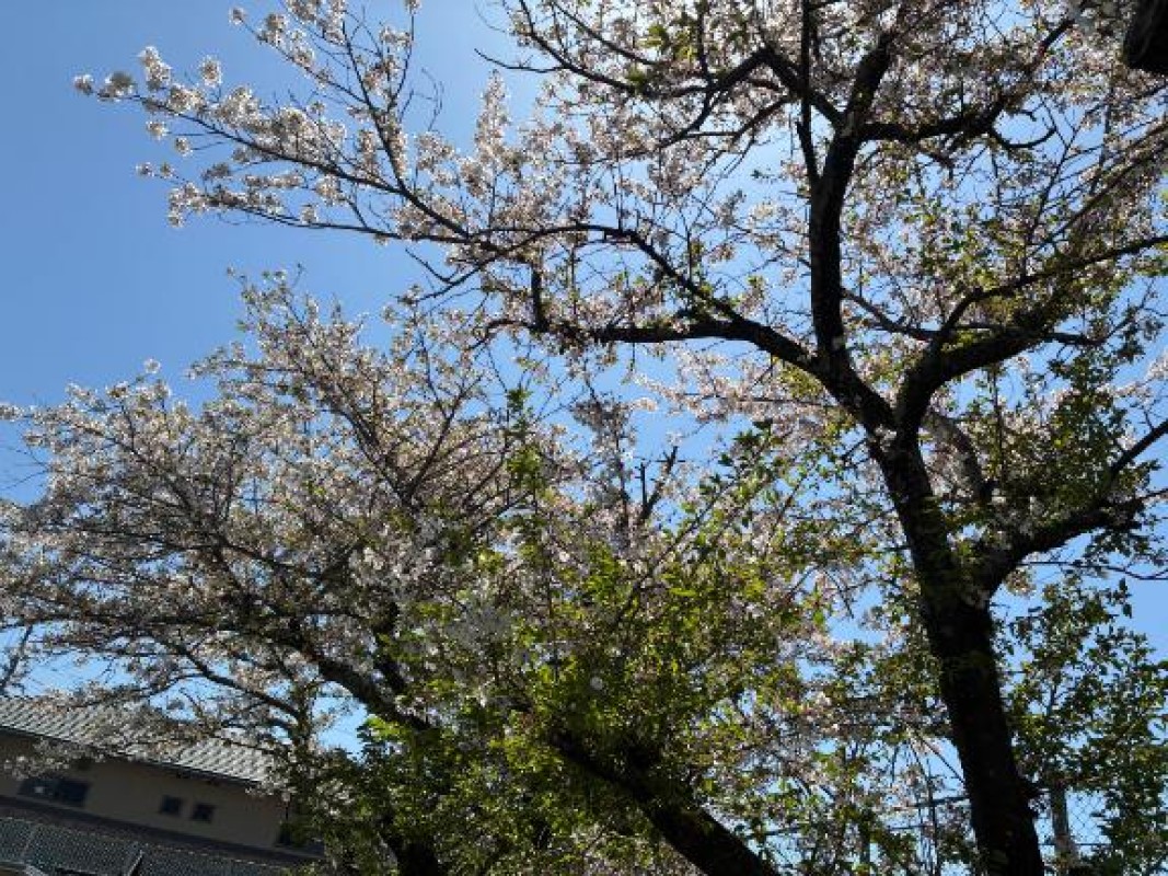 持田　しずく☆推し要素満載生徒ありがとう??