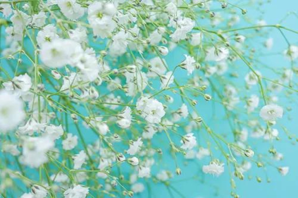 あいな今日は??