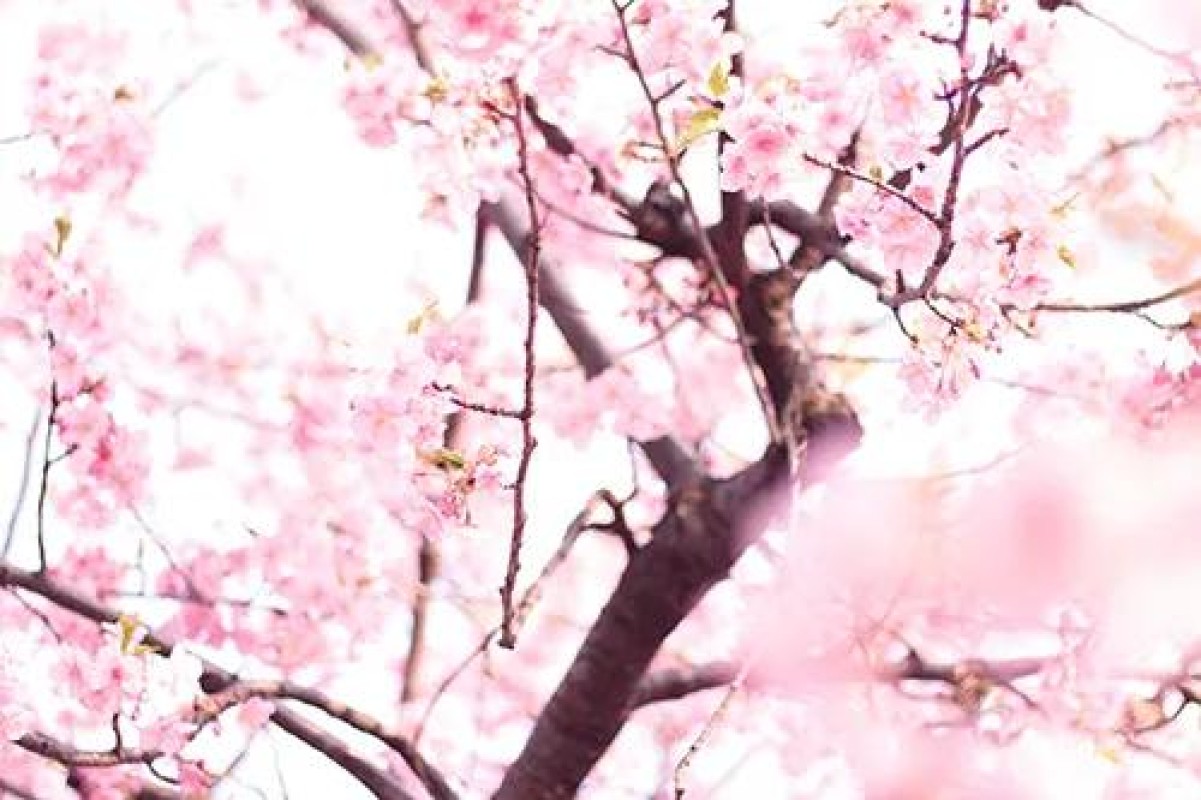 あいなたまってまーす????