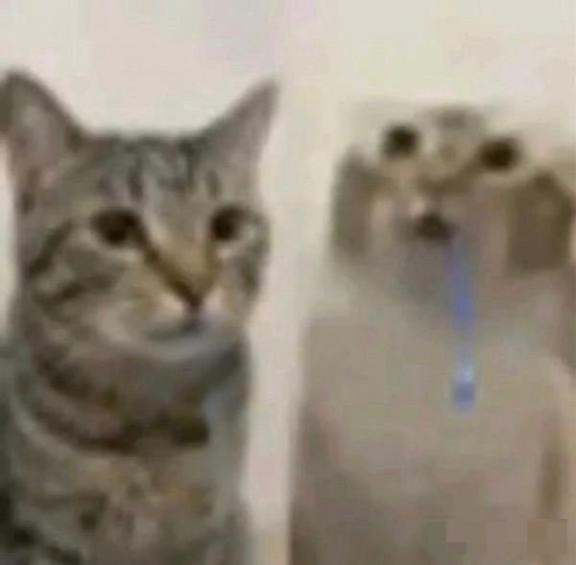 道後トレビの泉 青葉　ことぶき☆あのちゃん激似！ いつもの