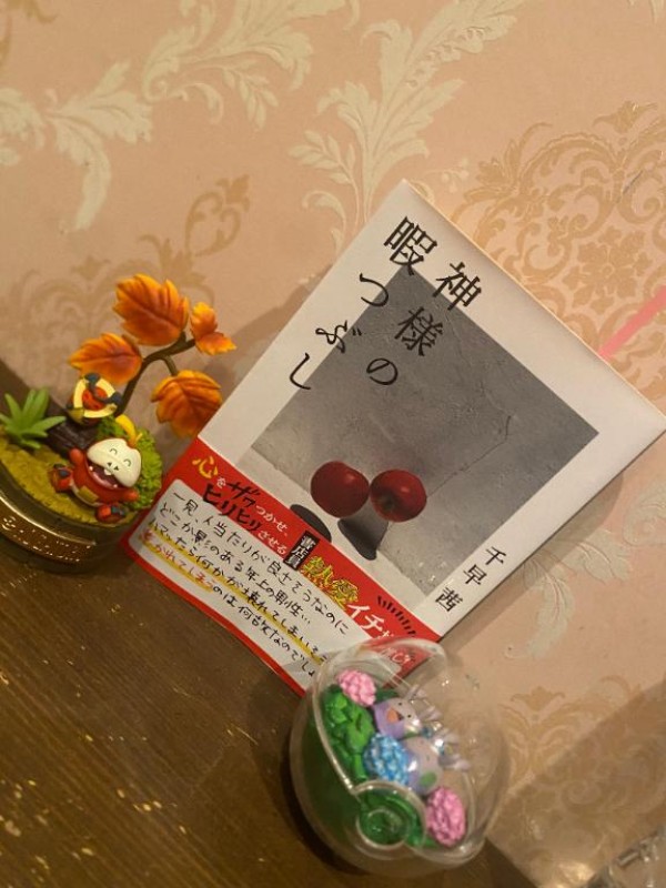 ジャックと豆の木 れお♡誰もが振り返る最高彼女 2026年 読了記録16