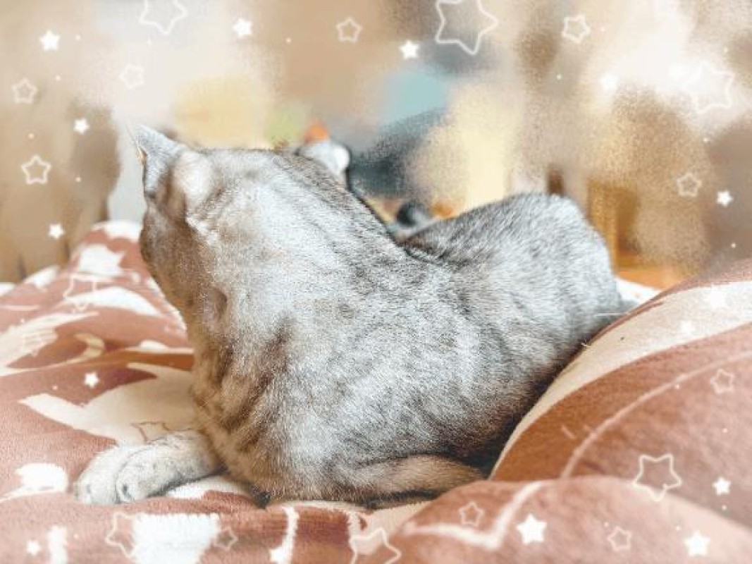 橘　はづき??補給される
