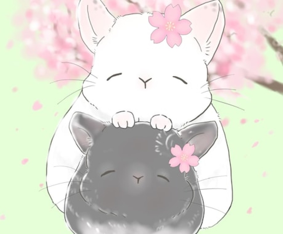ブログ画像