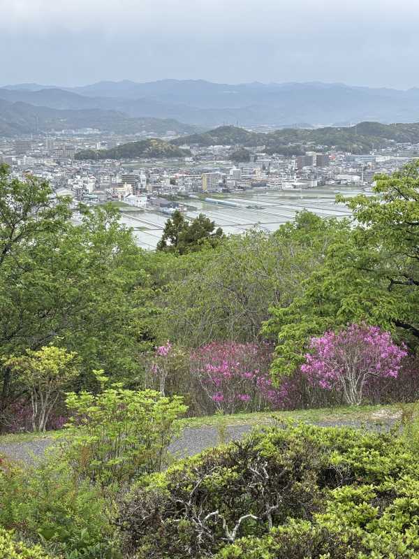 セレブメンエス　ロイヤル 一条　きほ 🌸ゆっくりお過ごしください🌸