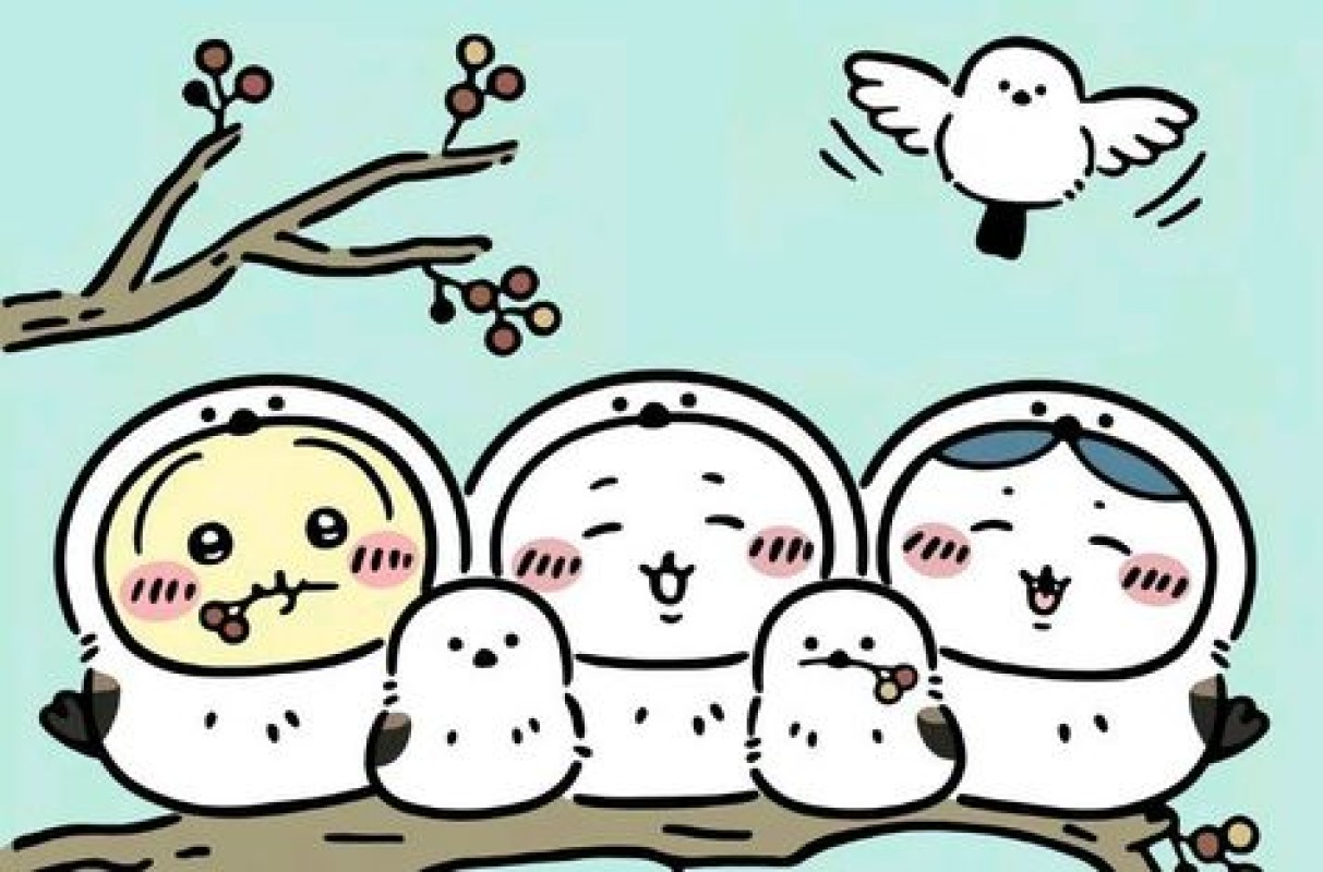 ブログ画像