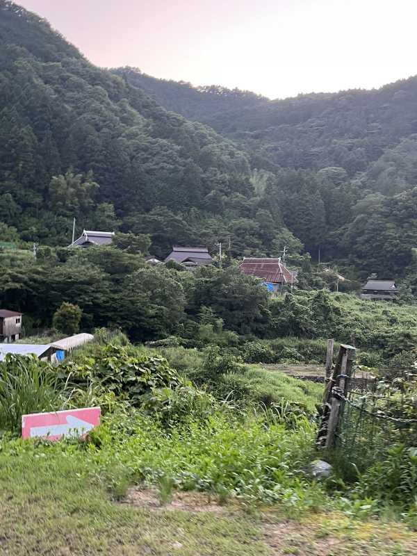 ブログ画像