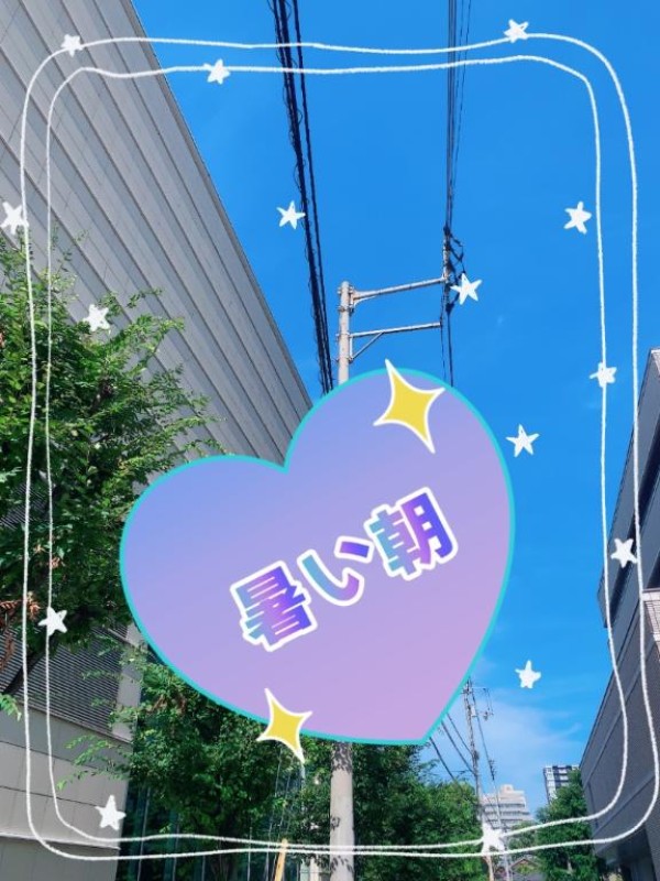 すずめおはようございます?