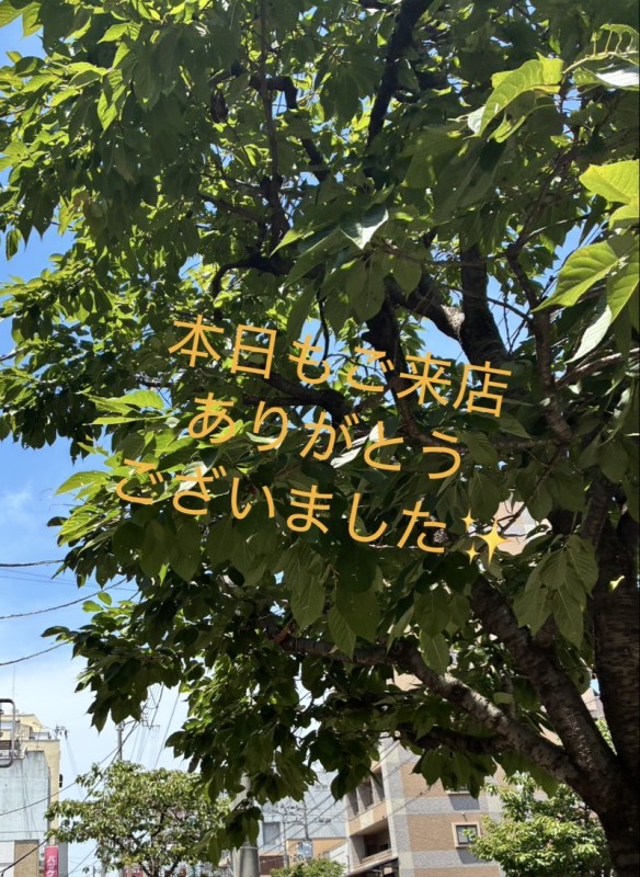 雨宮　ほのかお礼✨
