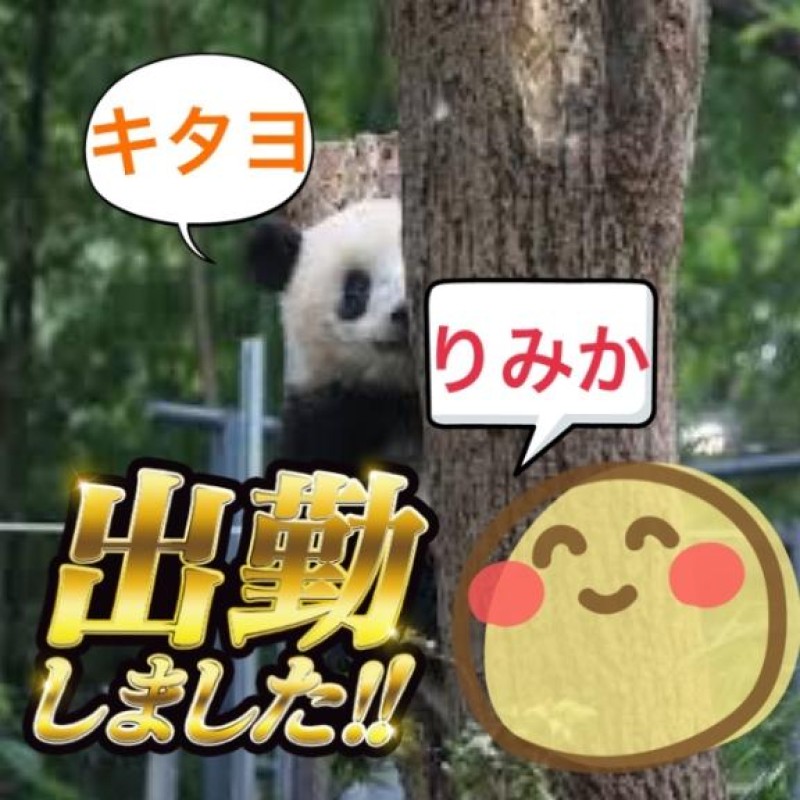 りみか【ロイヤルOP対応】リミカス参上 ??\(´ω` )/????\( 　´)/?? ??\( ´ω`)/???.*ﾟ