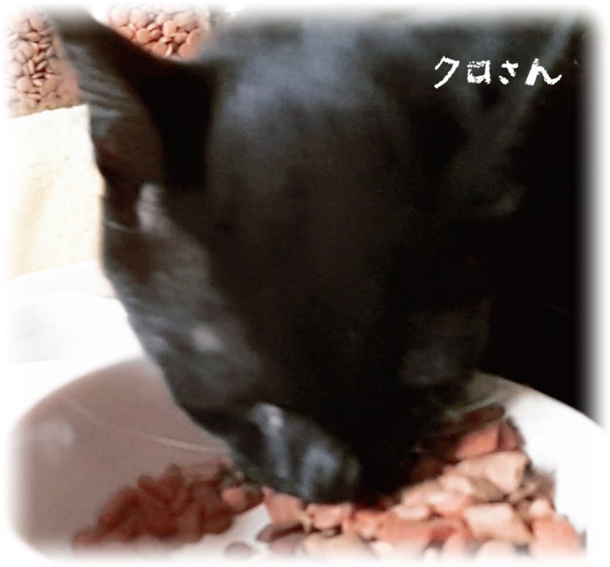 メンズエステ　アロマリッチ 一ノ瀬なな お礼です♡