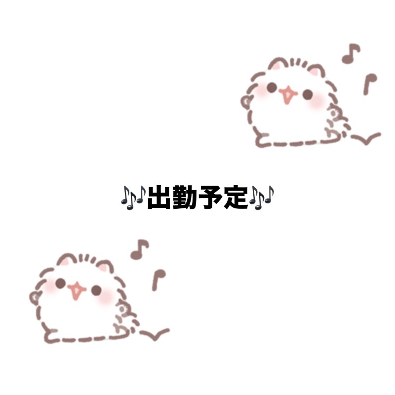 U-S-A 水野　すい よてい‼️