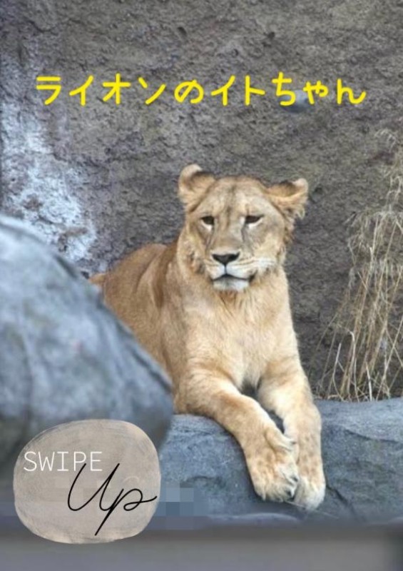 2026年08月16日 18:57 優しいひとづまいと【ロイヤルOP対応】(47)の写メブログ：また……Wi-Fi?から拒否されてる…?の画像