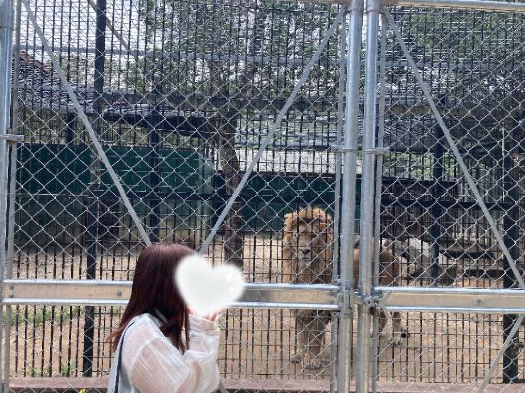 春山　にこ【ロイヤルOP対応】動物博士🦁