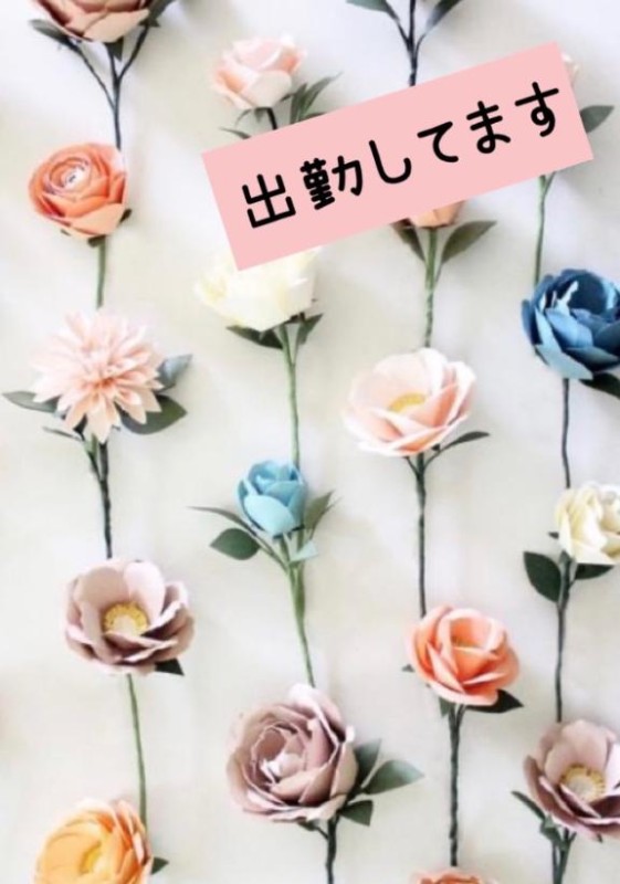 いと【ロイヤルOP対応】今日は！！Wi-Fi????が、絶好調?
