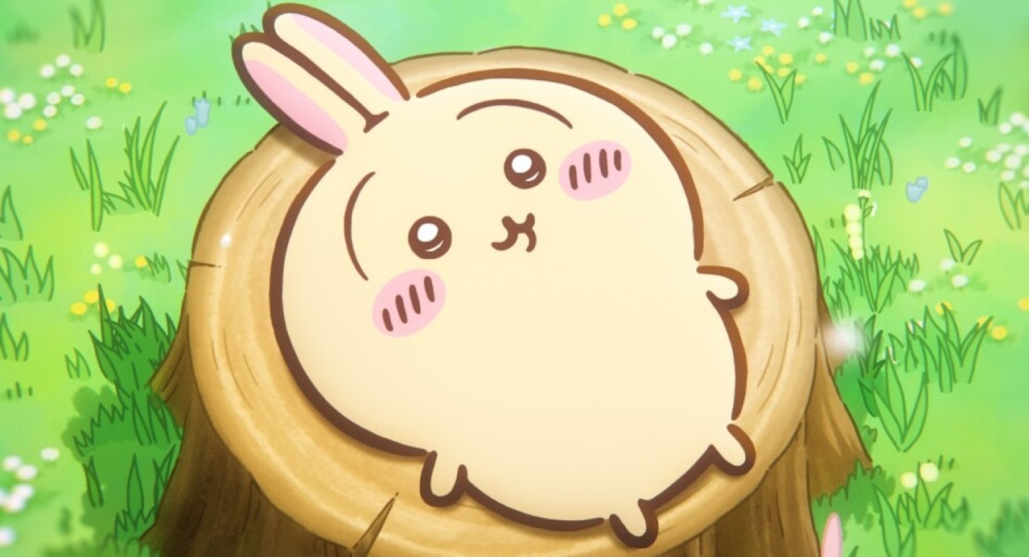 愛河にこtさん💗