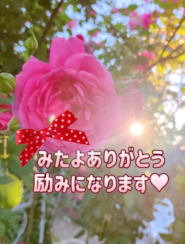 りみか【ロイヤルOP対応】みたよありがとう(??????)ﾍﾟｺﾘｰﾇ