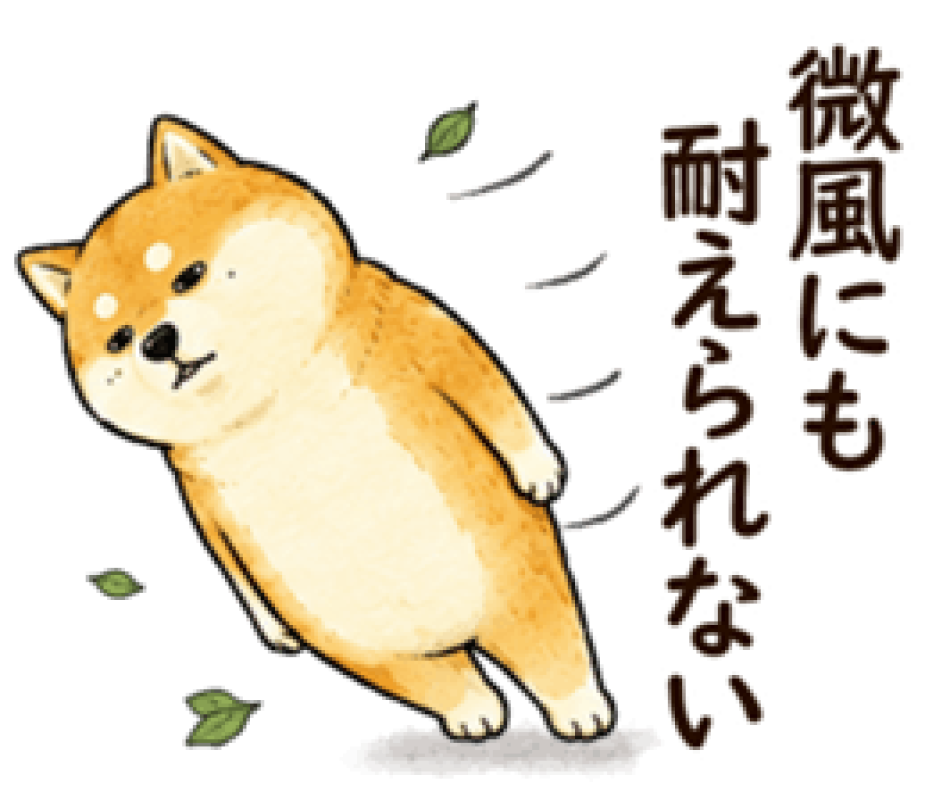 ジャックと豆の木 圭（けい）☆最高級のおもてなし 何とか