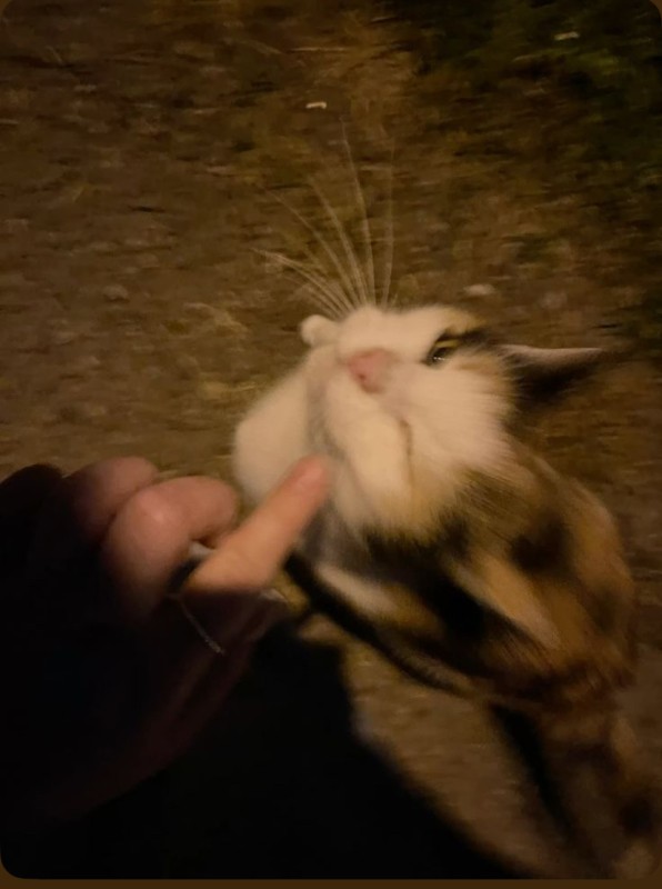 双葉　える久しぶりです🥹