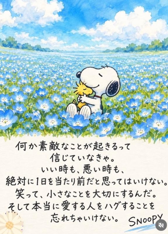 いと【ロイヤルOP対応】(*´∇｀)ﾉ　おひさ～♪【アニマル診断】今日の運勢ランキング