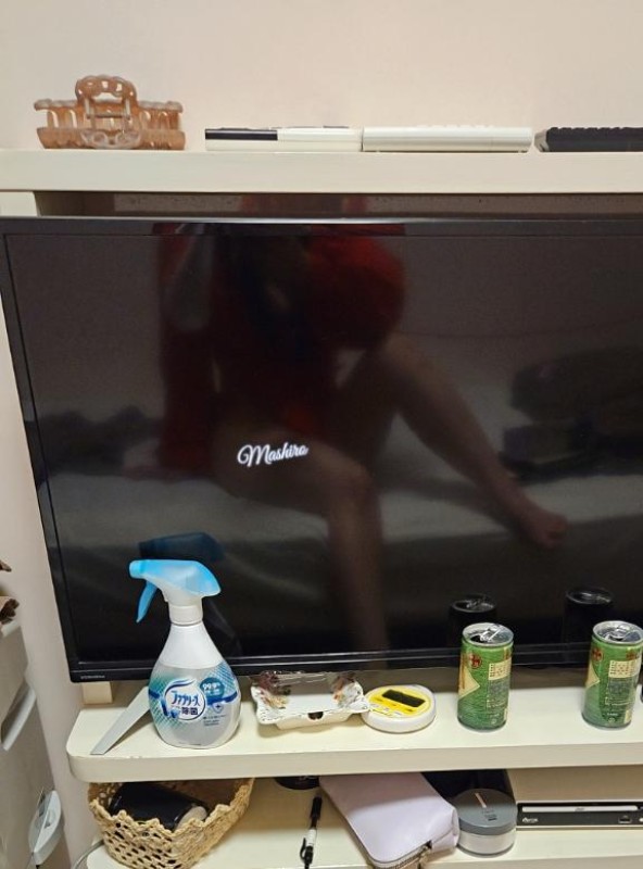 雪鍋　ましろ【プレミア】カムニャックはG1、侮るなかれ???